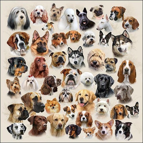 Single paper napkins - paper, for