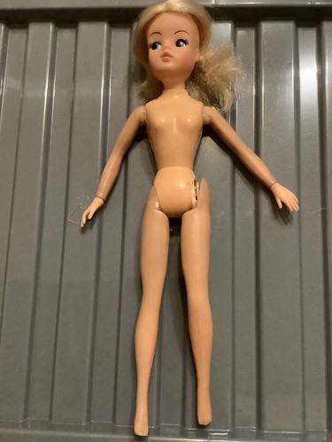 Vintage sindy pedigree - pedigree, doll