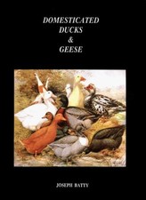 Domesticated Ducks and Geese