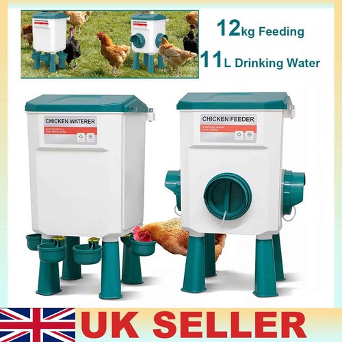 12kg chicken feeder - chicken, bird