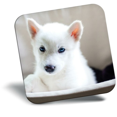 Awesome fridge magnet cute - magnet,