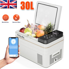 Electric Refrigerator 30L Portable Fridge Freezer 12V/24V For Camping Office Car