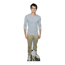 Dylan O'Brien Actor Grey Shirt