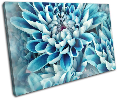 Zinnia gift modern blue flower - modern,
