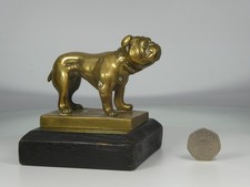 Antique Polished Bronze Brass Bulldog Car Mascot Radiator Hood Ornament. 1930s