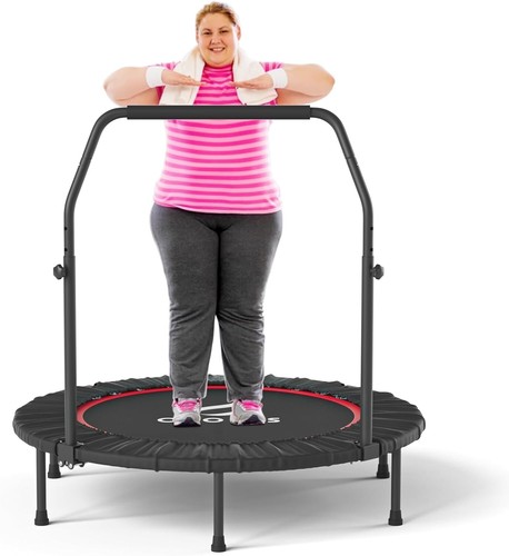 Cloris fitness - in,
