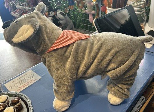 Bnwt pet dog - pet, one