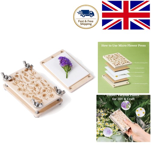 Compact mini flower - mini,