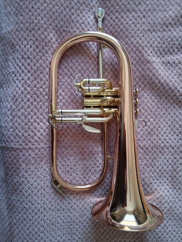 Thoman fh600g flugel horn - thoman, bb