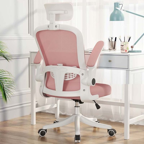 Mesh back office - mesh,