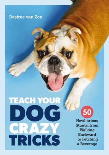 Teach your dog crazy - dog,