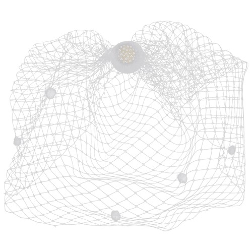Birdcage veil wedding bride - birdcage,