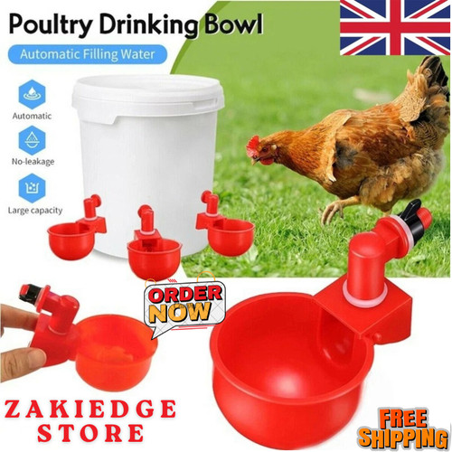 Automatic chicken water cup - chicken,