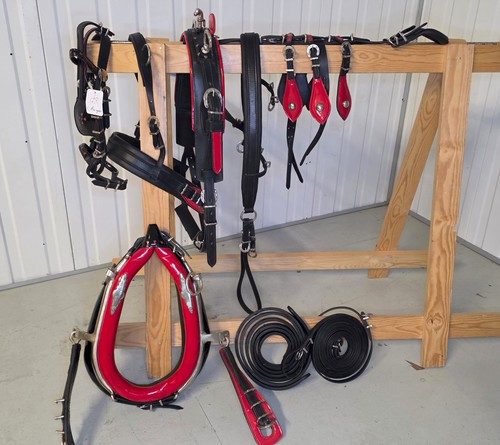 Mini shetland driving harness - shetland,