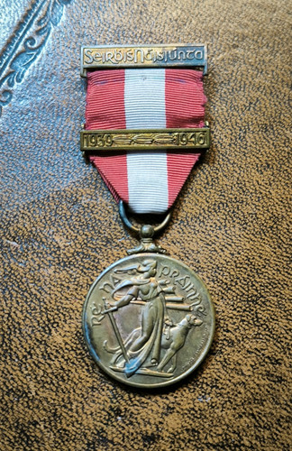 Irish army emergency medal - army,