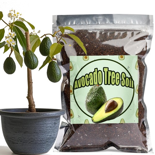 Premium organic avocado - premium,