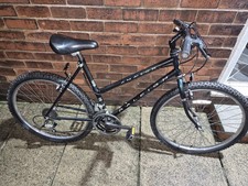 Vintage 90's Raliegh Amazon