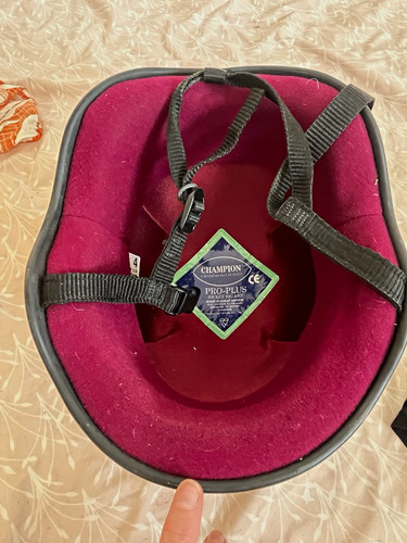 Champion pro plus - champion, pro-plus