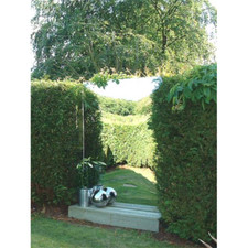 Primrose Large Silver Acrylic