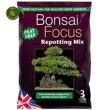Growth technology bonsai - technology, focus