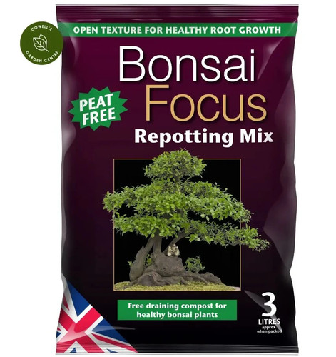 Growth technology bonsai focus - technology,