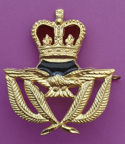 Raf warrant officers - officers, royal