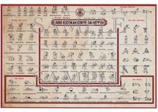 NEW - Judo Kodokan Martial Arts A1 Size Poster - Gokyo Dai Nippon - Techniques
