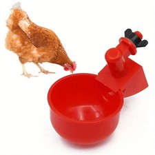 10 Automatic Chicken Water Cup