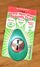 Avocado Seed Sprouter Growing