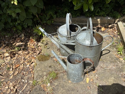 Three galvanised watering - three,