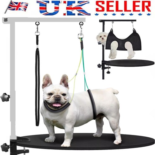 Electric pet dog - pet, grooming