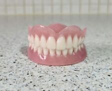 New Dentures/False Teeth,Upper&Lower set,Novelty,Display,Props,Teaching aid etc