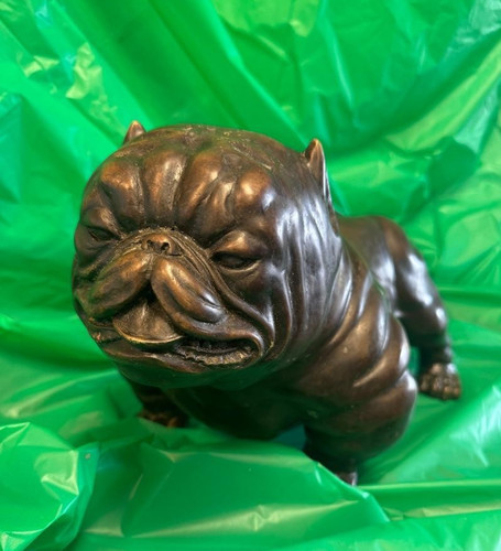 Chevee english bulldog - chevee, bronze