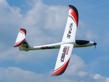 Max-Thrust Aggressor Easyglide RC Glider Radio Control Model RC Plane (PNP)