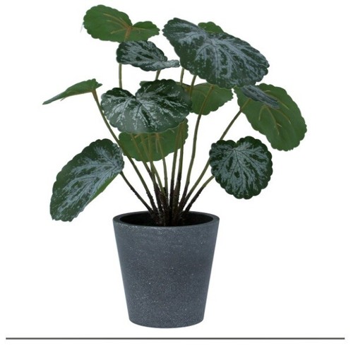 Potted plant faux - potted,