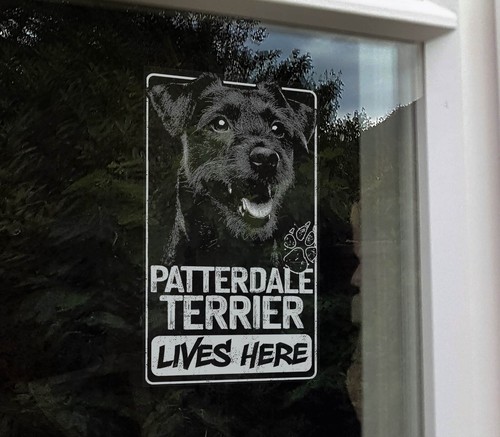 Patterdale terrier lives - patterdale,