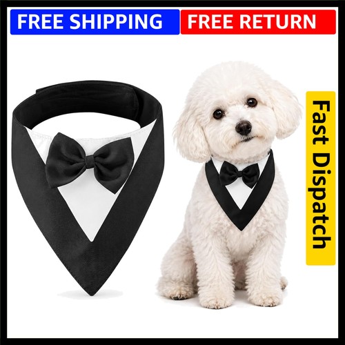 Dog tuxedo bandana - tuxedo,