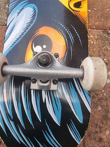 Skateboard