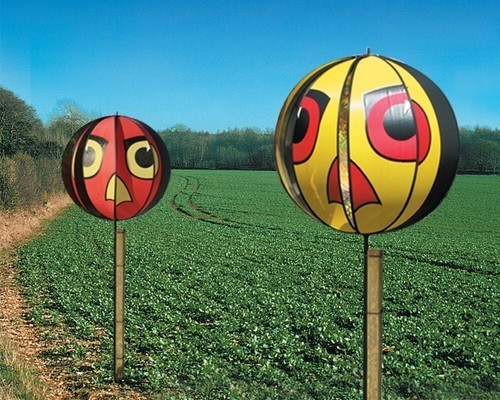 Portek hawk eye globe - eye,