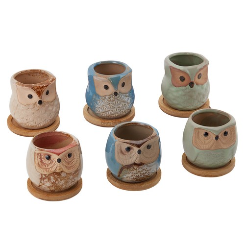 6pcs mini ceramic - ceramic, plant