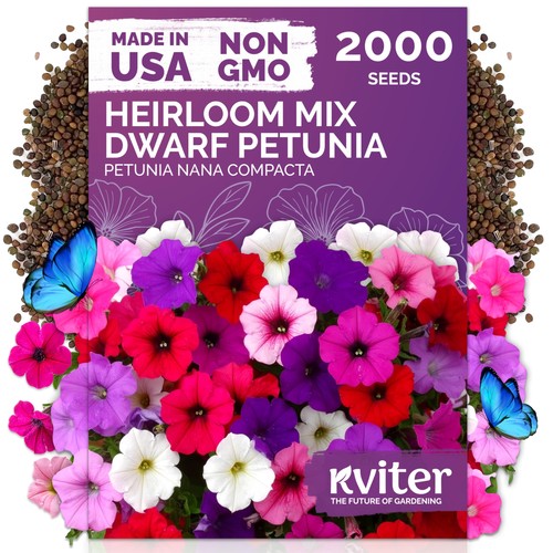 Kviter 000 mix dwarf - dwarf, petunia