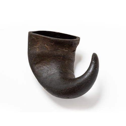 Buffalo horns for - buffalo, dogs
