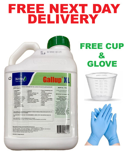 Gallup professional - gallup,