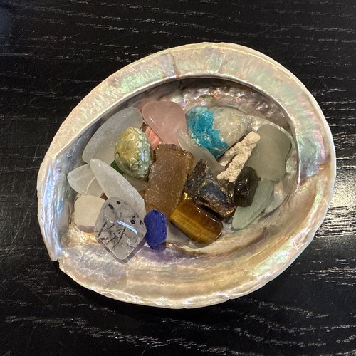 Abalone sea shell - sea,