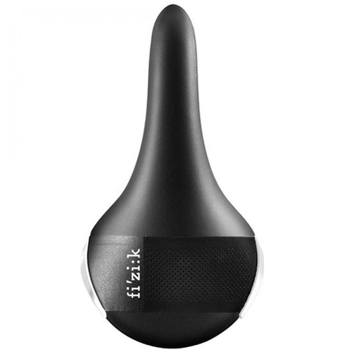 Fizik gliante regular - fizik, r1