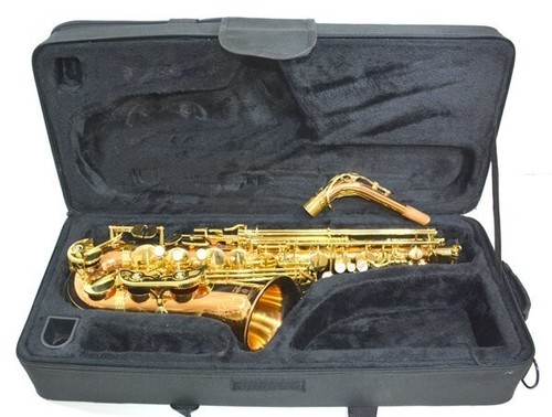 Yanagisawa wo2 alto - yanagisawa,