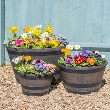 T&M Wooden Oak Half Whiskey