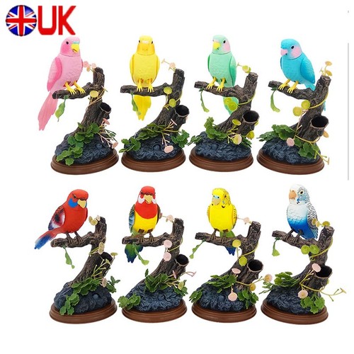 Talking parrot realistic - talking, parrot,