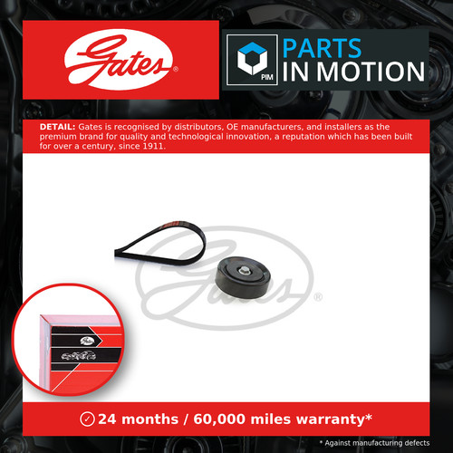 Drive belt kit k036pk1255 - belt,