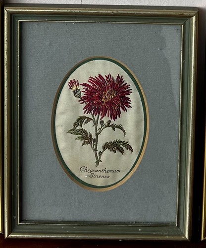 Framed botanical print j - botanical,